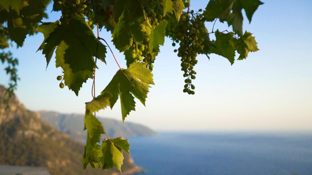 Kabak Mamma'S Pension Restaurant & Terrace Bar Fethiye Kültér fotó